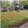 a sopping graveyard