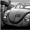 bug art