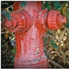 cracked hydrant