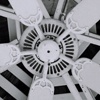 Black & White Images