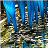 Chihuly - 5