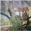 hidden treehouse