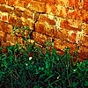 cracked bricks