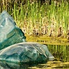 Chihuly - 2