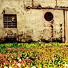 Warehouse Garden