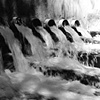 Phoenix Faucets