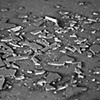 scattered shards