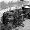 One Man's Trash