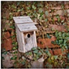 a bird's home