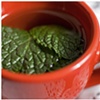 Tea Time - 1