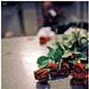 red rose