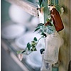 hanging bottles