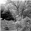 garden cross