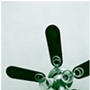 Torch Fan