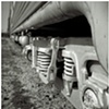 Train Coils
