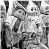 babies in bags