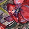 Venture Poppy's