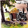 Danada Farms Aug 2011