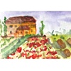Tuscan countryside 2008