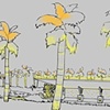 Plantation 1