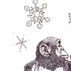 Monkeys