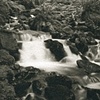 Other Alt Processes