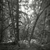 Pinhole Photographs