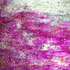 Merricer
