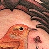 Birdie
