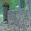 Sapling Fence 