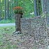 Garden Design