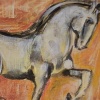 Animal Study