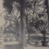 La Foce 