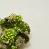 Moss Mountain Rock 