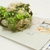 Paper Weight