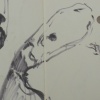 New York  City Ballet Study 