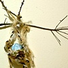 Easter Egg Branch 