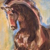 Animal Study