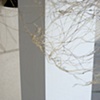 Detail of Saddle Experiment 