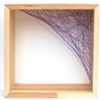 Box String Studies 