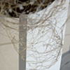 Detail of Saddle Experiment 