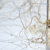 Detail of Saddle Experiment 