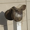 Saddle Experiment 