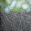 Enthrall Space