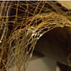 Detail of Saddle Experiment 