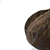 Detail of Saddle Experiment 