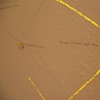 Verisimilitude: Locating Oneself (Oakland)
Detail