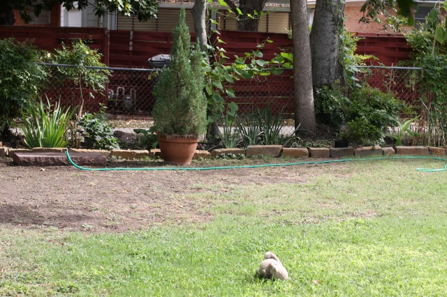 yard002