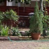 yard002