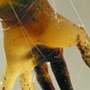 I Hold (detail)